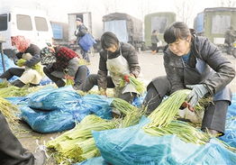 商務部監測顯示 蔬菜批發價格連續十周上漲，食用農產品市場波動引關注