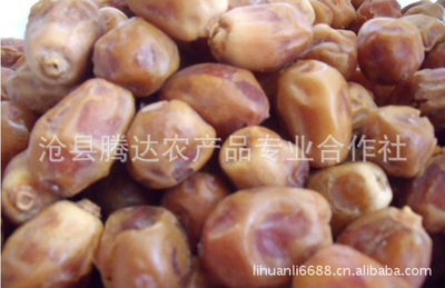 新疆和田玉棗批發價格及廠家全解析 若羌棗、灰棗、駿棗品質分級指南